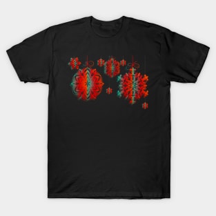 Merry Christmas Star Decorations T-Shirt